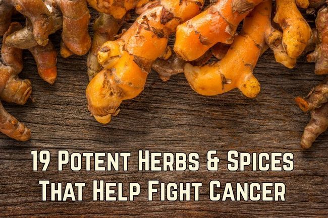 19 herbes et épices qui aident à combattre le cancer puissants