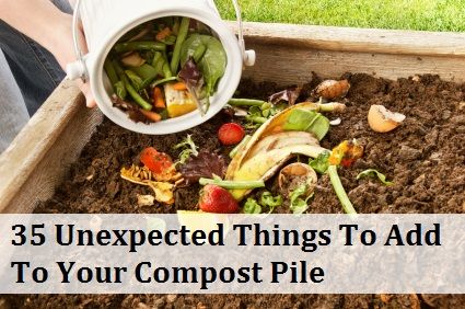 35 choses inattendues à ajouter à votre tas de compost