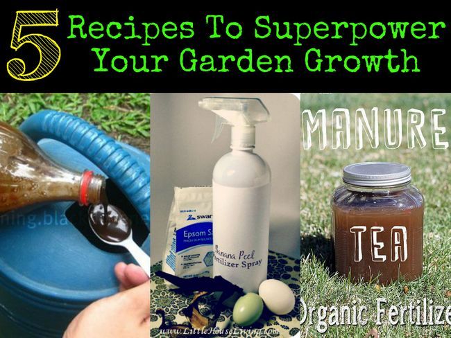 5 recettes pour superpuissance Votre croissance Jardin