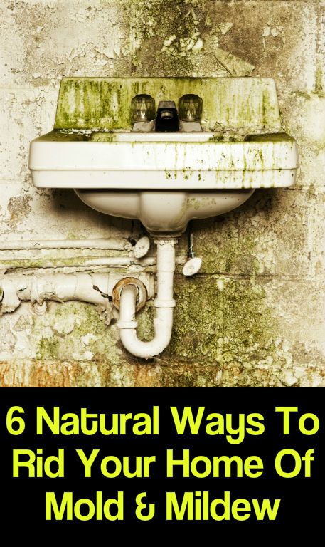 6 voies naturelles pour débarrasser votre maison de Mold & amp; Mildiou 1