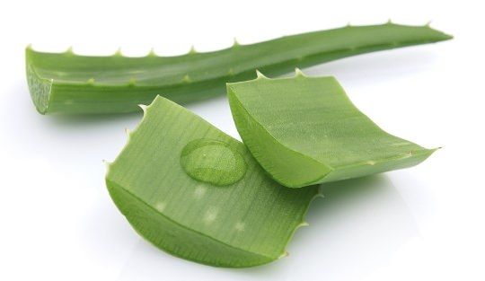 Aloe vera pour le traitement de l'acné et les cicatrices d'acné