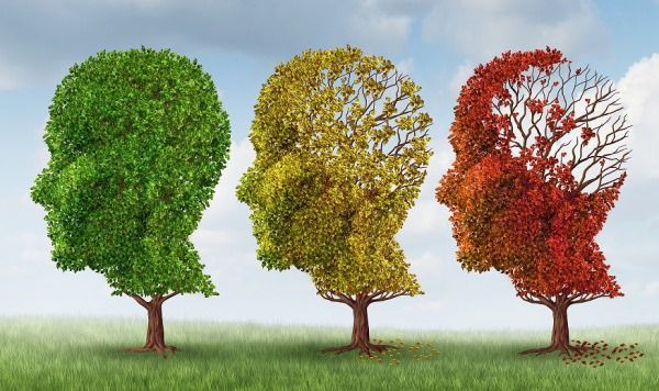 Les stades de la maladie d'Alzheimer: 7 stades de la maladie d'alzheimer