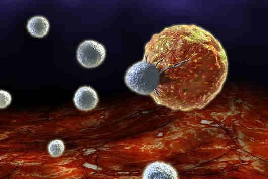 Les cellules cancéreuses sont tellement omniprésente parce qu'ils sont capables de se soustraire à l'action du système immunitaire.