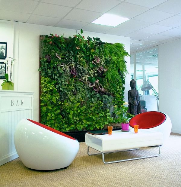 Les employés qui travaillent dans une salle avec des plantes sont plus productifs, selon une étude