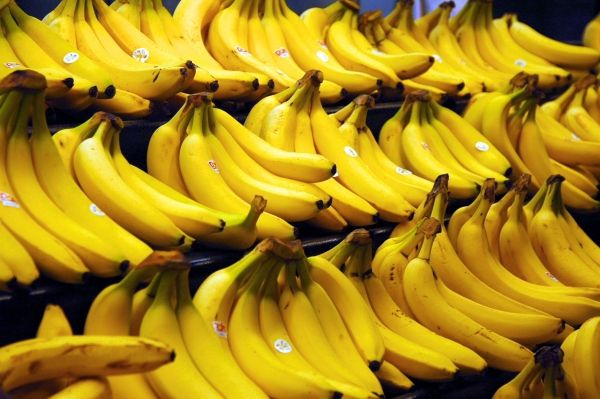 Going bananes sur les bananes