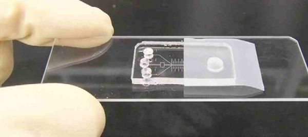 Inauguration des puces microfluidiques pour la détection précoce du cancer