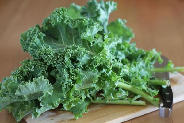 Des produits de beauté à base de Kale sont maintenant disponibles sur le marché.