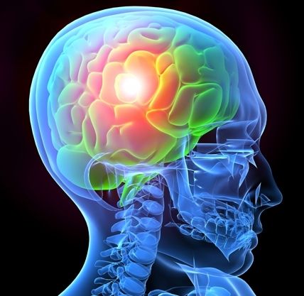 En appliquant une pression négative contrôlée sur le cerveau après une lésion cérébrale traumatique pourrait sauver des vies grâce à la réanimation de tissu mécanique