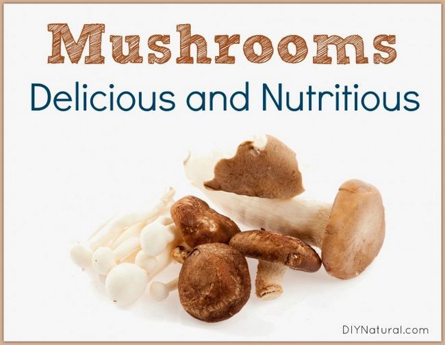 Mushroom sont délicieux et avoir des avantages de santé