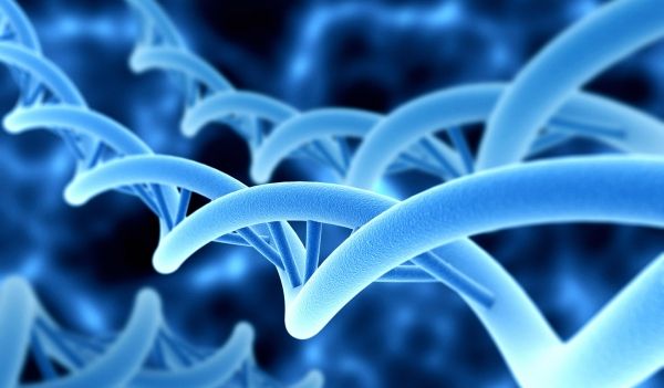 Une nouvelle étude du génome à grande échelle pourrait aider à guérir les maladies futures de l'enfance