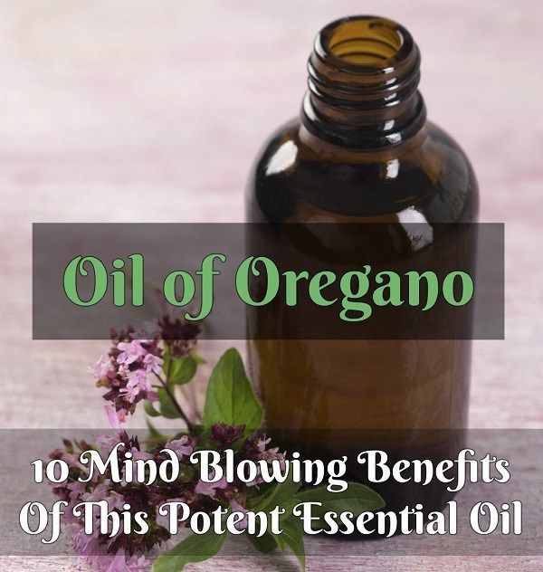 L'huile d'origan: 10 hallucinante avantages de cette huile essentielle puissante