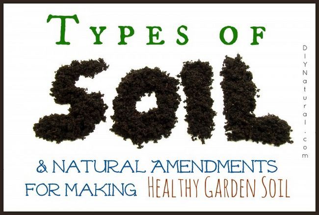 Types de sol et naturelles des correctifs pour les problèmes de sol