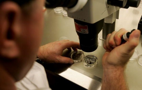 Californie embryon banque fournit des dons d'ovules pour la recherche sur les cellules souches