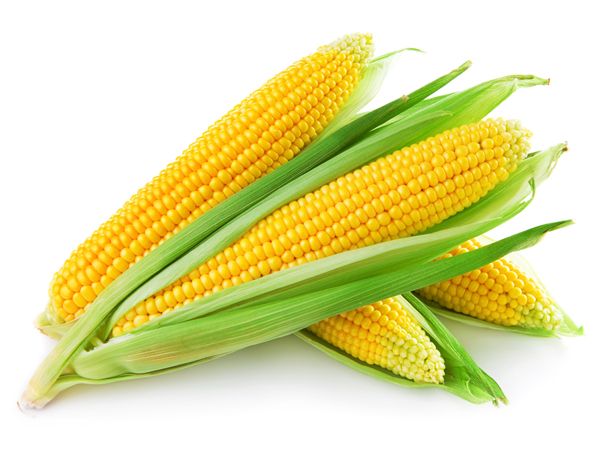 Meilleurs avantages pour la santé de maïs / maïs