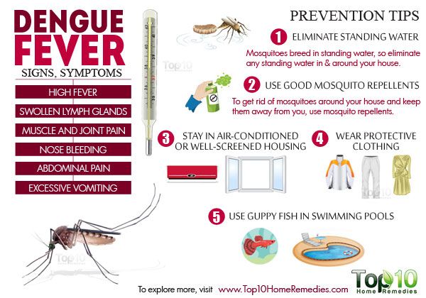 dengue signes et les symptômes de la fièvre et de la prévention