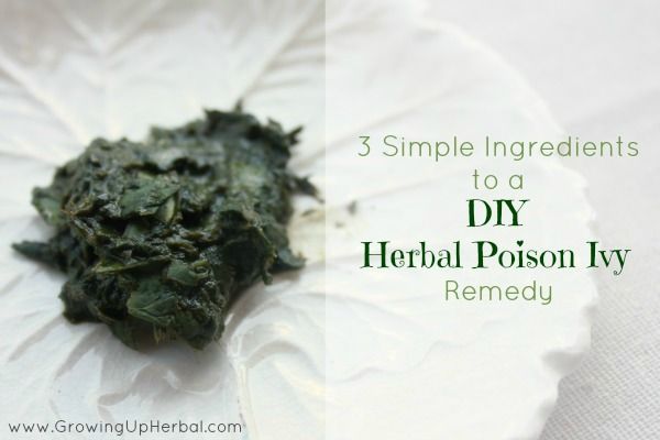 Poison Ivy bricolage Herbal Remedy