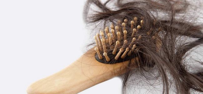 Comment prendre soin de votre Locks avec une perte massage huile chaude pour empêcher les cheveux?