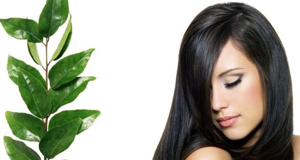 Comment utiliser les feuilles de curry pour la croissance des cheveux