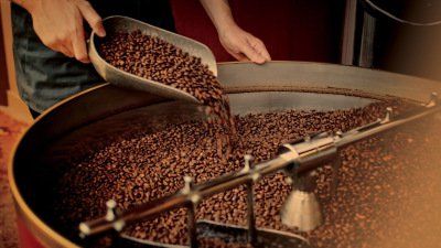 Les gènes humains les liens avec les grains de café