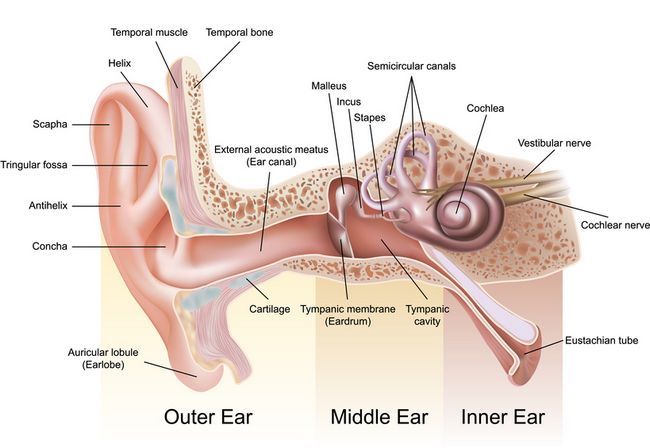 naturelles-recours-pour-ear-douleur