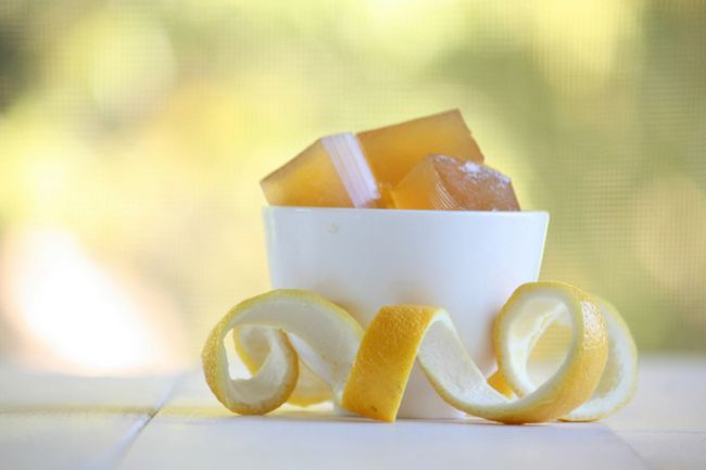 Probiotique jello de citron infusé