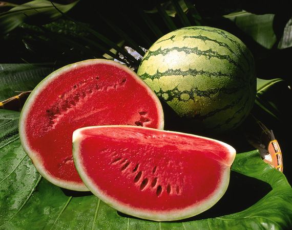Watermelon avantages de soins de la peau
