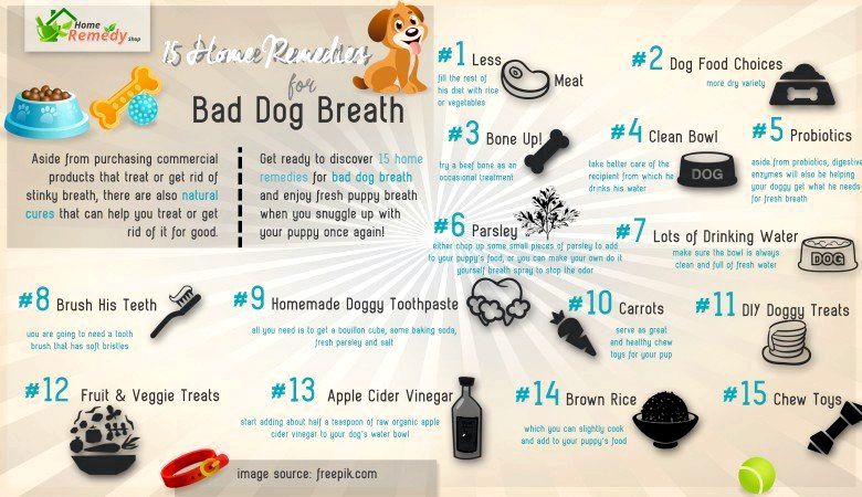 15 Accueil recours pour Breath Bad Dog