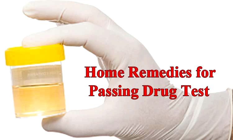 18 Accueil recours pour Passing Drug Test