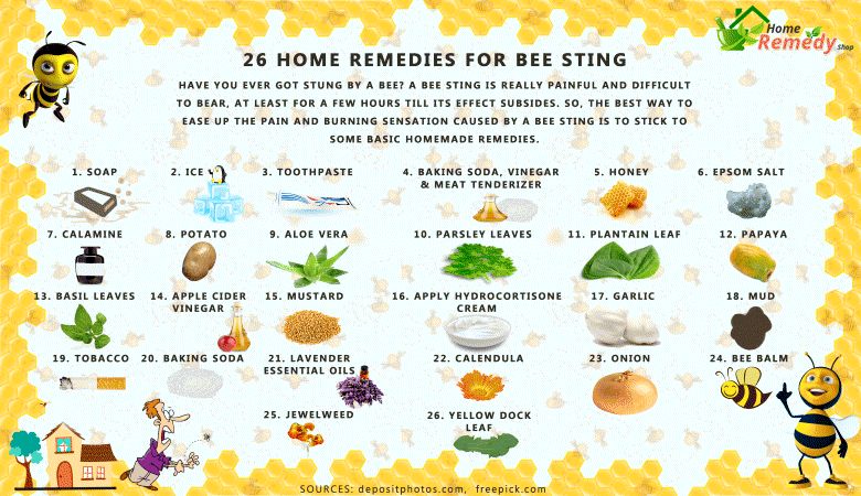 26 Accueil recours pour Bee Sting