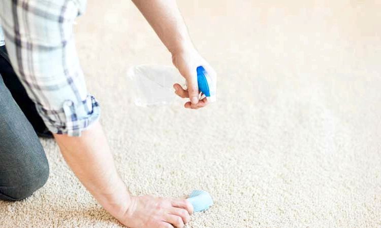DIY: 11 Homemade Carpet Cleaners
