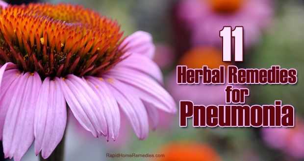11 remèdes à base de plantes pour des symptômes de pneumonie