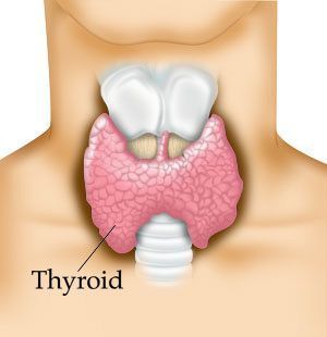 Comment traiter la thyroïde hypo et hyper avec des remèdes naturels