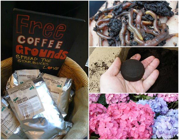 10 façons de Genius d'utiliser de vieilles marc de café dans votre jardin
