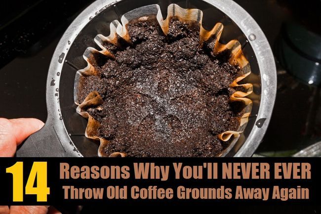 14 façons de recycler Genius du marc de café