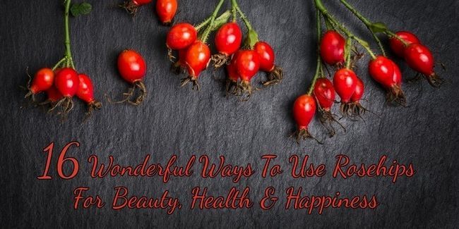 16 façons merveilleux à utiliser cynorrhodons pour la beauté, la santé et le bonheur