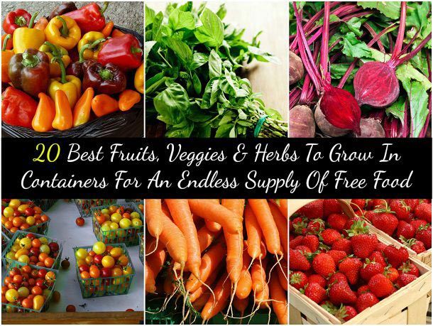 20 meilleurs fruits, les légumes et les herbes de se développer dans des conteneurs pour une réserve inépuisable de nourriture gratuite