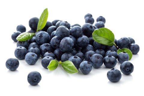 Fat Burning Foods Bleuets
