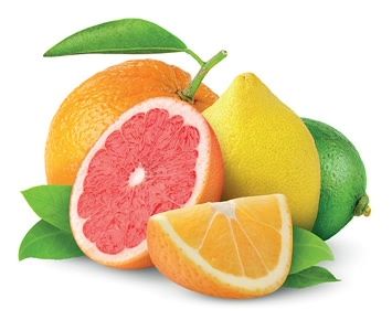 Fat Burning Foods Agrumes
