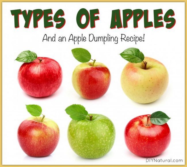 21 types d'Apple et une boulette de pomme délicieuse recette