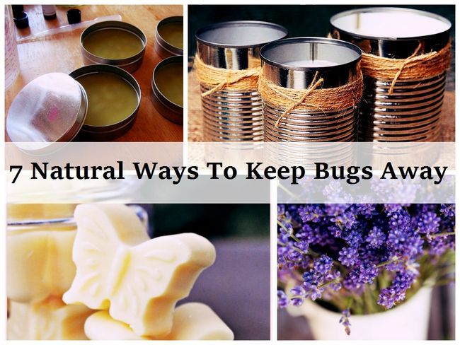 7 façons naturelles de garder insectes à l'écart