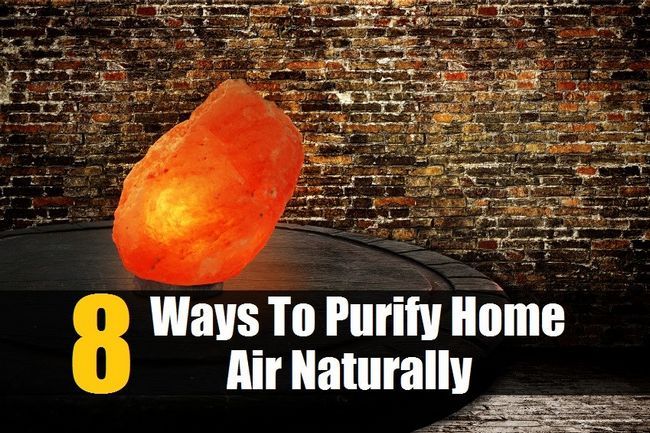 8 façons de purifier Accueil Air naturellement si votre famille peut respirer le plus sain, plus propre possible Air