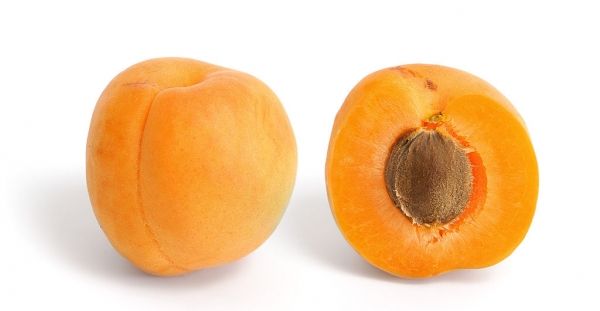 L'abricot est un fruit de pierre avec un écrou de graines à l'intérieur. Sa forme est similaire à celui de la pêche, mais légèrement plus petit, avec une peau qui est velouté et orange de couleur dorée.