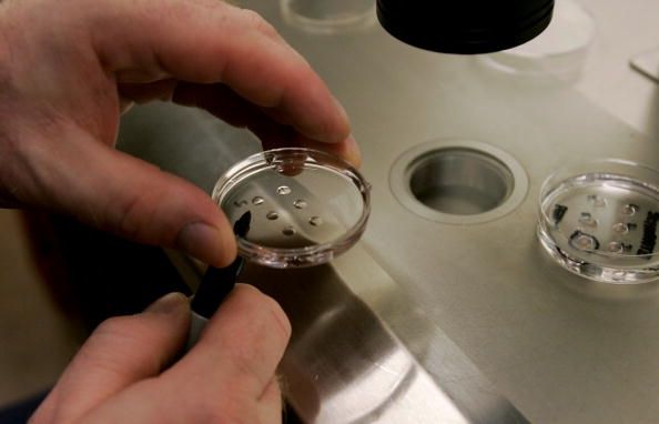 Californie embryon banque fournit des dons d'ovules sur les cellules souches