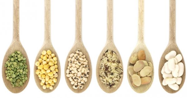 Manger haricots et les légumineuses riches en fibres peut aider à prévenir le développement du cancer de l'intestin.