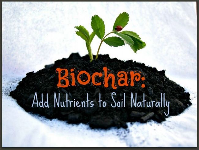 Le biochar: l'ajout de nutriments à votre sol naturellement