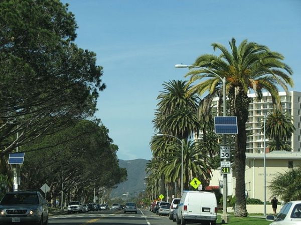 Palms alignés Ocean Avenue à Santa Monica, près Maguerita Avenue.