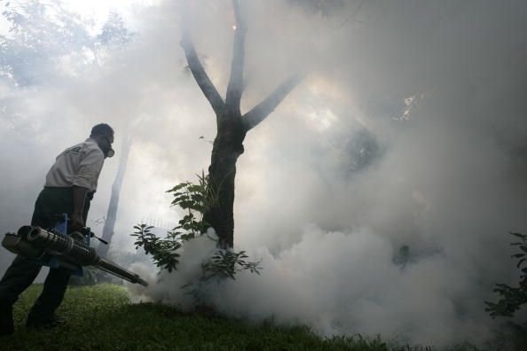 Épidémie de Chikungunya: Costa Rica rapporte 106 cas, les experts disent que les femmes au foyer à haut risque