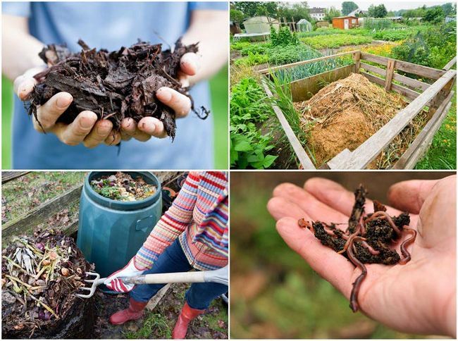 Compostage 101: comment créer du compost qui fonctionne comme carburant de fusée pour votre jardin
