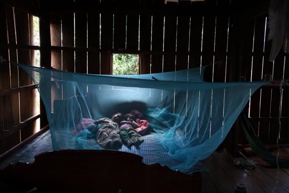 Les enfants dorment sous une moustiquaire imprégnée d'insecticide, un practrice qui aide à prévenir la propagation du paludisme