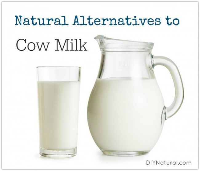 Alternatives de substitut de lait